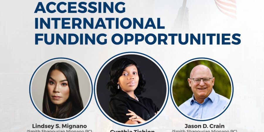 DOING BUSINESS IN THE US: ACCESSING INTERNATIONAL FUNDING OPPURTUNITIES (WEBINAR INVITATION)