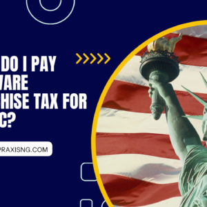 WHEN DO I PAY DELAWARE FRANCHISE TAXES FOR MY LCC?