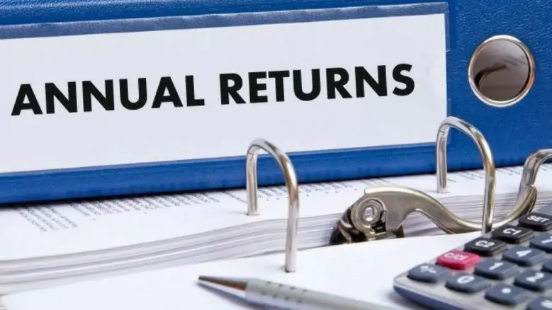 Annual returns
