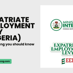 EXPATRIATE EMPLOYMENT LEVY IN NIGERIA-EVERYTHING YOU SHOULD KNOW