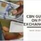 CBN GUIDELINE ON FOREIGN EXCHANGE 2025 80x80