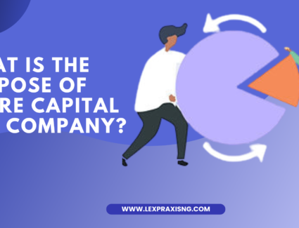 What is the purpose of share capital in a company